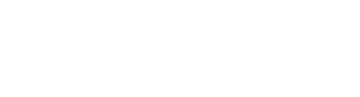 V4 Company